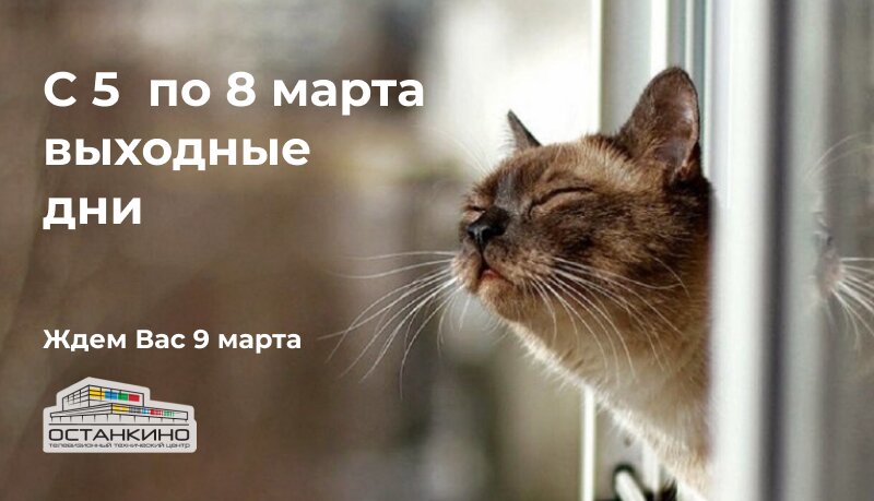с 5 по 8 марта мы не работаем с 5 по 8 марта мы не работаем